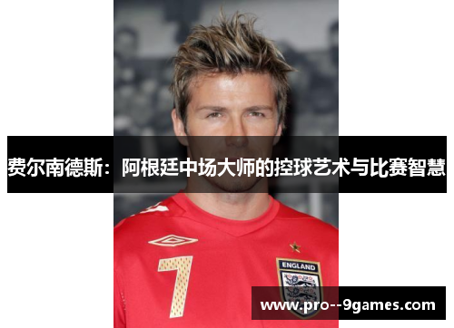 费尔南德斯：阿根廷中场大师的控球艺术与比赛智慧