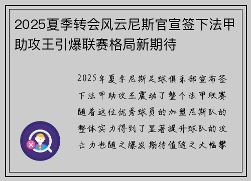 2025夏季转会风云尼斯官宣签下法甲助攻王引爆联赛格局新期待