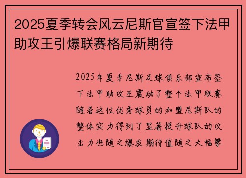 2025夏季转会风云尼斯官宣签下法甲助攻王引爆联赛格局新期待